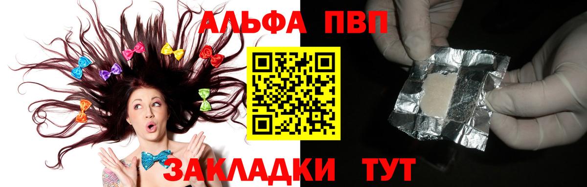 Альфа ПВП СК КРИС Дербент