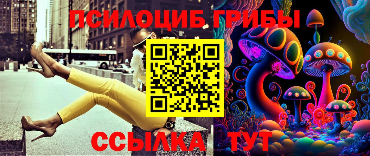 Галлюциногенные грибы Psilocybe  Вход с VPN  Дербент 